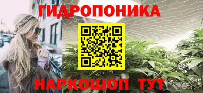 ГАЛЛЮЦИНОГЕННЫЕ ГРИБЫ Бийск
